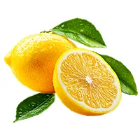 Vitamina C
